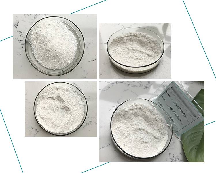 wholesale polyglutamic acid-Lyphar
